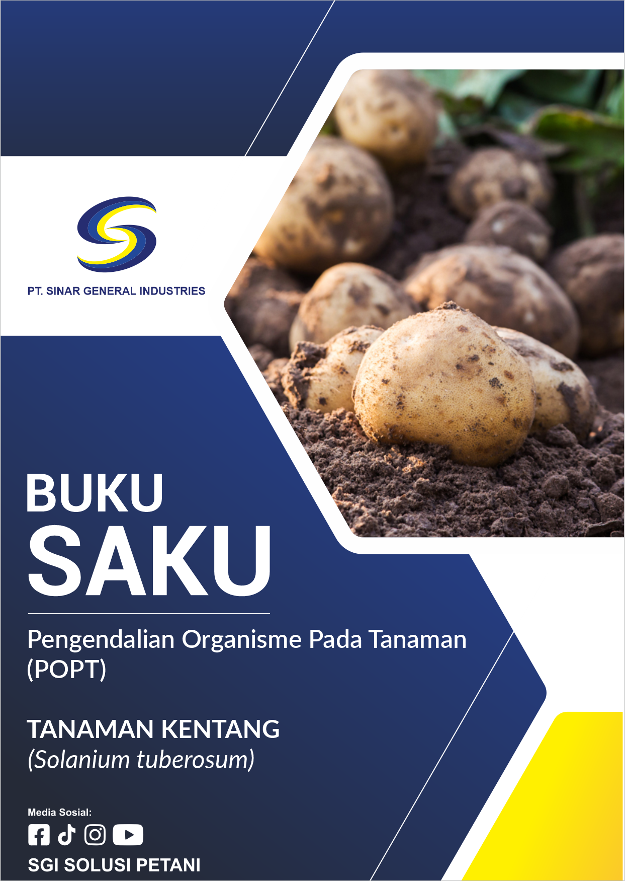 Tanaman Kentang