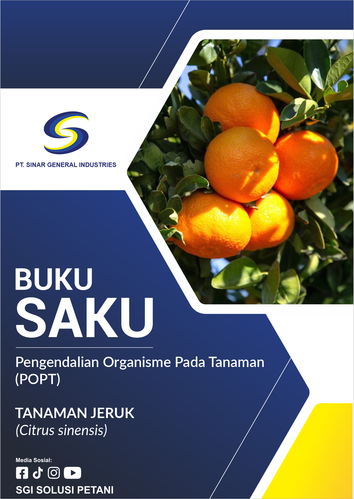 Tanaman Jeruk
