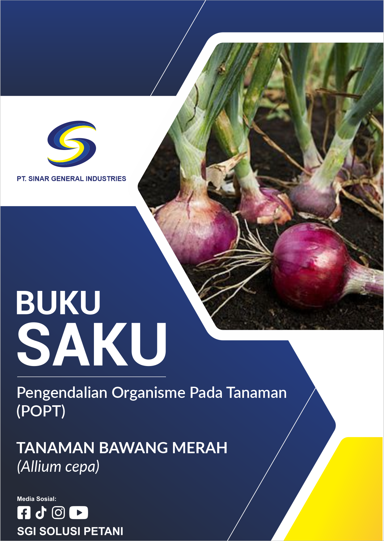 Tanaman Bawang Merah