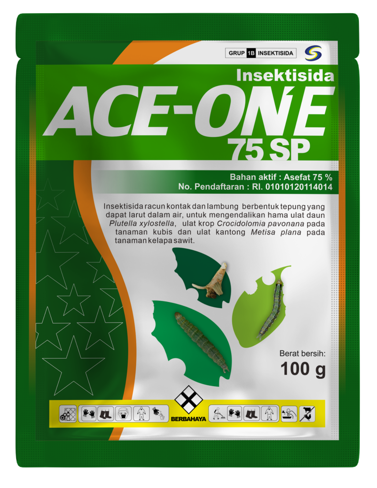 Ace-One 75 SP (English)